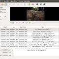 gnome-subtites_xenial.png