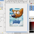 capture_gimp.png