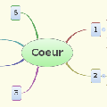 carte-heuristique-coeur.gif
