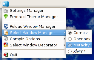 Compiz Fusion Icon