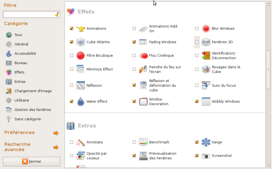 compizconfiggestionnairedeconfiguration_intrepid_01.png