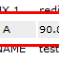 dns2.png