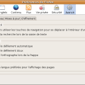 firefox-correction-othographique.png