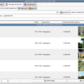 gnunet-gtk_0.8.0_9.10_rechercheimage.png