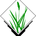 grass_logo.png