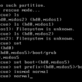 grub-unknow-filesystem.png