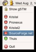 gstm3.jpg