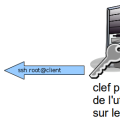 backuppc-rsync-root.png