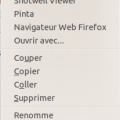 pcmanfm_contxtmenu_file.png