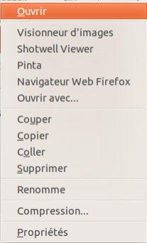 pcmanfm_contxtmenu_file.png