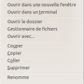 pcmanfm_contxtmenu_folder.png