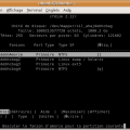 cfdisk.png