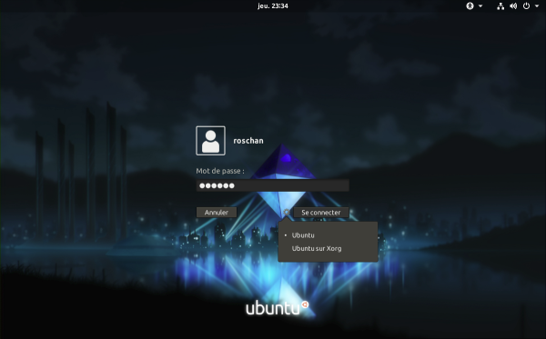 Exemple de résultat obtenu Exemple de résultat obtenu