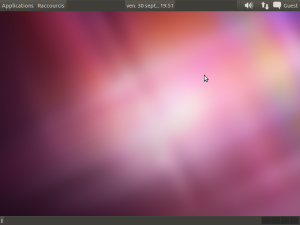 Gnome flashback (avant) Gnome flashback (avant)
