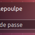 lightdm-selectionenvironnement1.png