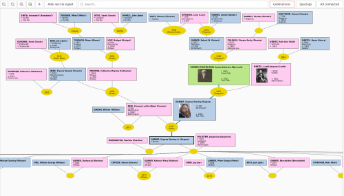 Vue avec greffon Graphview