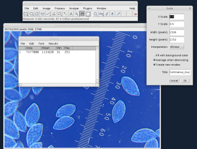 Capture d'écran du logiciel ImageJ sous Xubuntu 20.04. Capture d'écran du logiciel ImageJ sous Xubuntu 20.04.