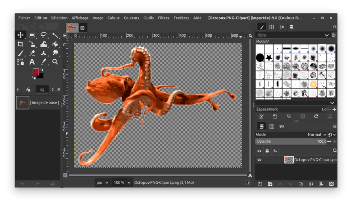 Capture d'écran de GIMP