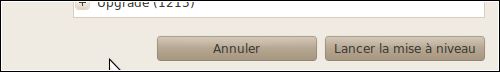miseaniveau-maverick-10.png
