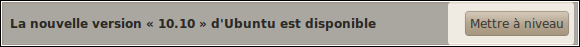 miseaniveau-maverick-6.png