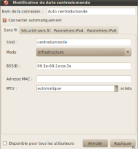 Inscrivez-la dans le champ "Adresse MAC" (ici, pour une connexion sans fil)