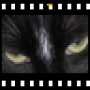 photofilmstrip.png